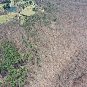 Photo #15 of Off Olde Stone Rd Lot 47, Crumpler, NC 5.3 acres