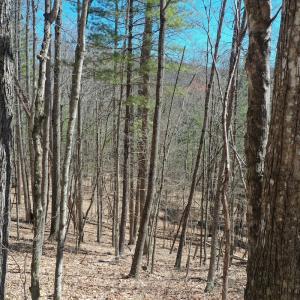 Photo #17 of Off Olde Stone Rd Lot 47, Crumpler, NC 5.3 acres