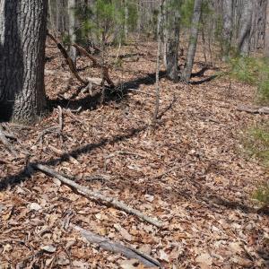 Photo #18 of Off Olde Stone Rd Lot 47, Crumpler, NC 5.3 acres
