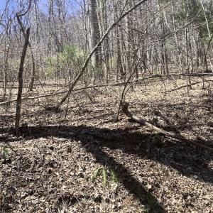 Photo #24 of Off Olde Stone Rd Lot 47, Crumpler, NC 5.3 acres