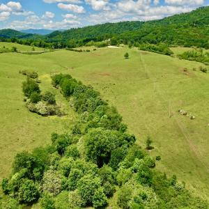 Photo #77 of 127 Albert Farm Rd, Monroe, VA 225.2 acres