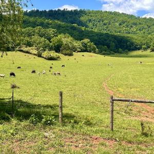 Photo #92 of 127 Albert Farm Rd, Monroe, VA 225.2 acres