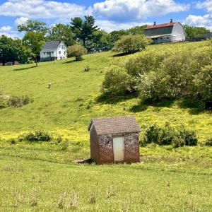 Photo #96 of 127 Albert Farm Rd, Monroe, VA 225.2 acres