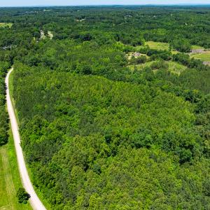 Photo #10 of Off Wilson Road - Lot 5, Providence, NC 14.6 acres