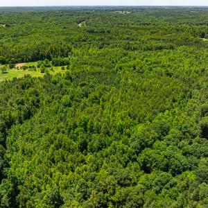 Photo #16 of Off Wilson Road - Lot 5, Providence, NC 14.6 acres