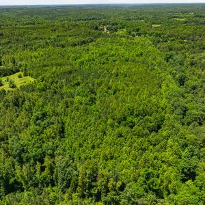 Photo #28 of Off Wilson Road - Lot 5, Providence, NC 14.6 acres