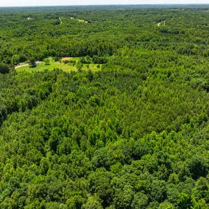 Photo #31 of Off Wilson Road - Lot 5, Providence, NC 14.6 acres