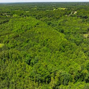 Photo #35 of Off Wilson Road - Lot 5, Providence, NC 14.6 acres