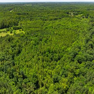 Photo #38 of Off Wilson Road - Lot 5, Providence, NC 14.6 acres