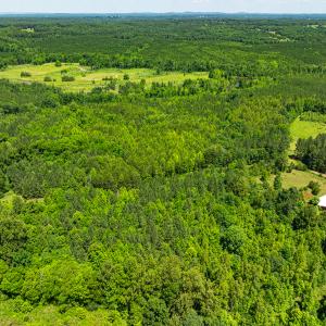 Photo #9 of Off Wilson Road - Lot 6, Providence, NC 33.5 acres