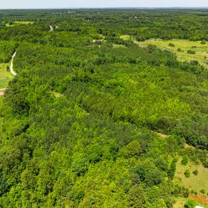 Photo #13 of Off Wilson Road - Lot 6, Providence, NC 33.5 acres