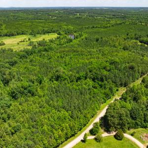Photo #16 of Off Wilson Road - Lot 6, Providence, NC 33.5 acres