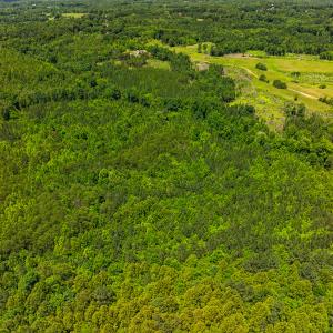 Photo #25 of Off Wilson Road - Lot 6, Providence, NC 33.5 acres