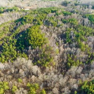 Photo #27 of Off Wilson Road - Lot 6, Providence, NC 33.5 acres