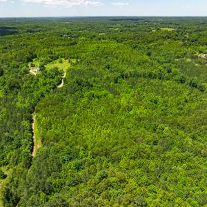 Photo #28 of Off Wilson Road - Lot 6, Providence, NC 33.5 acres