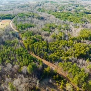 Photo #36 of Off Wilson Road - Lot 6, Providence, NC 33.5 acres