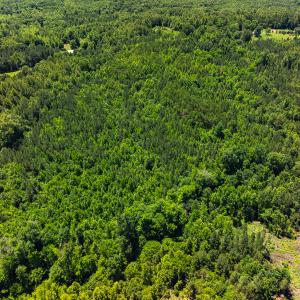 Photo #40 of Off Wilson Road - Lot 6, Providence, NC 33.5 acres