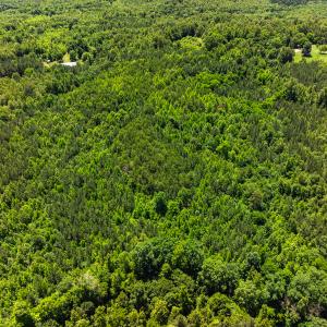 Photo #42 of Off Wilson Road - Lot 6, Providence, NC 33.5 acres