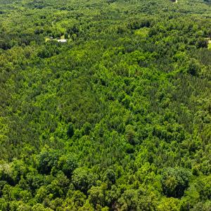 Photo #44 of Off Wilson Road - Lot 6, Providence, NC 33.5 acres
