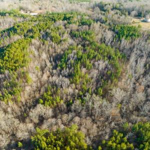 Photo #45 of Off Wilson Road - Lot 6, Providence, NC 33.5 acres