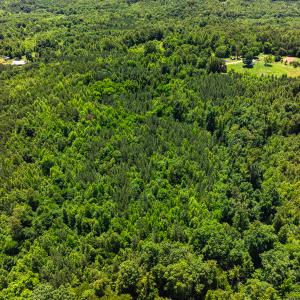 Photo #46 of Off Wilson Road - Lot 6, Providence, NC 33.5 acres