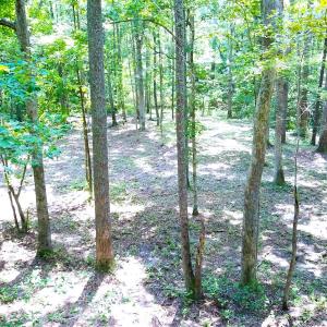 Photo #6 of Off Bank Street, Waverly, VA 4.4 acres