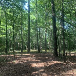 Photo #13 of Off Bank Street, Waverly, VA 4.4 acres