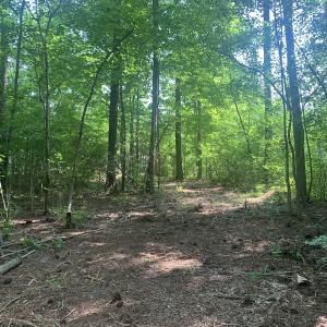 Photo #29 of Off Bank Street, Waverly, VA 4.4 acres