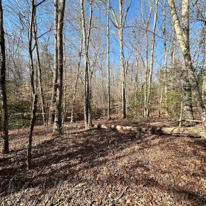 Photo #2 of SOLD property in Off Pole Run Rd, Disputanta, VA 114.0 acres