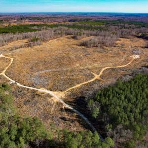 Photo #3 of SOLD property in Off Pole Run Rd, Disputanta, VA 114.0 acres