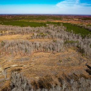 Photo #9 of SOLD property in Off Pole Run Rd, Disputanta, VA 114.0 acres