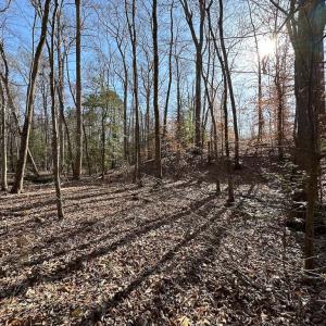 Photo #10 of SOLD property in Off Pole Run Rd, Disputanta, VA 114.0 acres