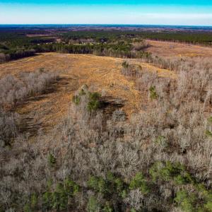 Photo #15 of SOLD property in Off Pole Run Rd, Disputanta, VA 114.0 acres