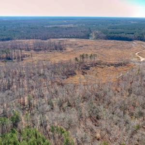 Photo #19 of SOLD property in Off Pole Run Rd, Disputanta, VA 114.0 acres