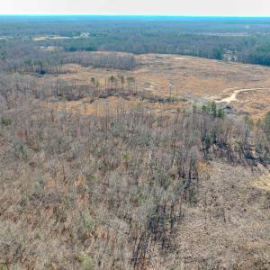 Photo #21 of SOLD property in Off Pole Run Rd, Disputanta, VA 114.0 acres