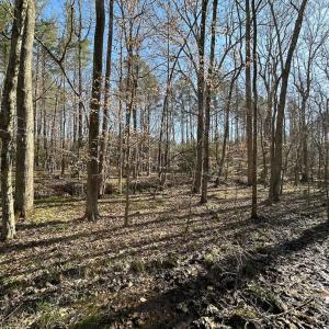 Photo #24 of SOLD property in Off Pole Run Rd, Disputanta, VA 114.0 acres