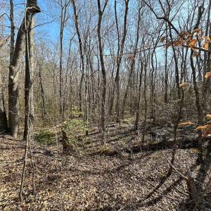 Photo #31 of SOLD property in Off Pole Run Rd, Disputanta, VA 114.0 acres