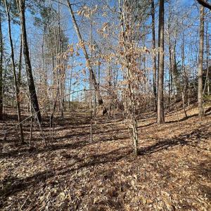 Photo #35 of SOLD property in Off Pole Run Rd, Disputanta, VA 114.0 acres