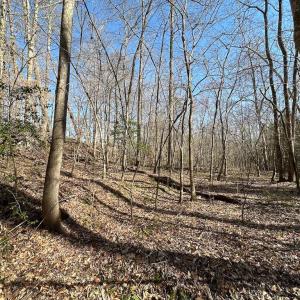 Photo #42 of SOLD property in Off Pole Run Rd, Disputanta, VA 114.0 acres