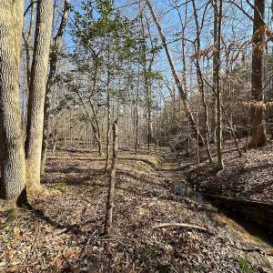 Photo #43 of SOLD property in Off Pole Run Rd, Disputanta, VA 114.0 acres