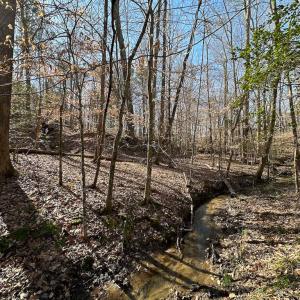 Photo #44 of SOLD property in Off Pole Run Rd, Disputanta, VA 114.0 acres