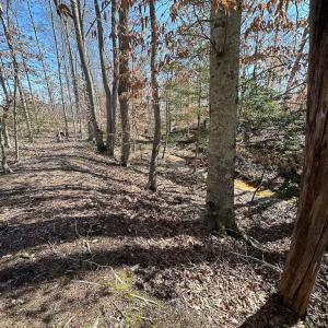 Photo #46 of SOLD property in Off Pole Run Rd, Disputanta, VA 114.0 acres