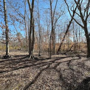 Photo #47 of SOLD property in Off Pole Run Rd, Disputanta, VA 114.0 acres