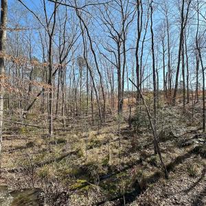 Photo #49 of SOLD property in Off Pole Run Rd, Disputanta, VA 114.0 acres