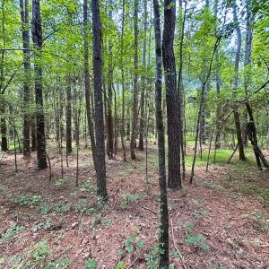 Photo #18 of Off Rolling Acres Rd, Skippers, VA 3.0 acres