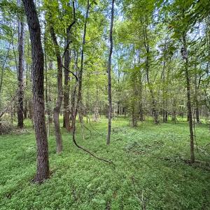 Photo #21 of Off Rolling Acres Rd, Skippers, VA 3.0 acres