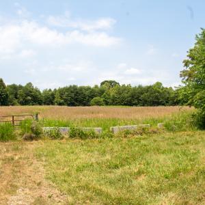 Photo #5 of Off A.L. Philpott Hwy, Martinsville, VA 40.6 acres