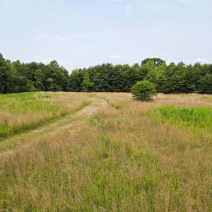 Photo #6 of Off A.L. Philpott Hwy, Martinsville, VA 40.6 acres