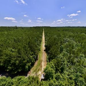 Photo #15 of Off Long Ridge Rd, Plymouth, NC 88.7 acres