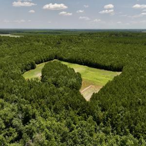 Photo #17 of Off Long Ridge Rd, Plymouth, NC 88.7 acres